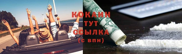 PSILOCYBIN Балабаново