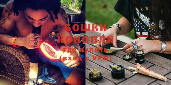 PSILOCYBIN Балабаново