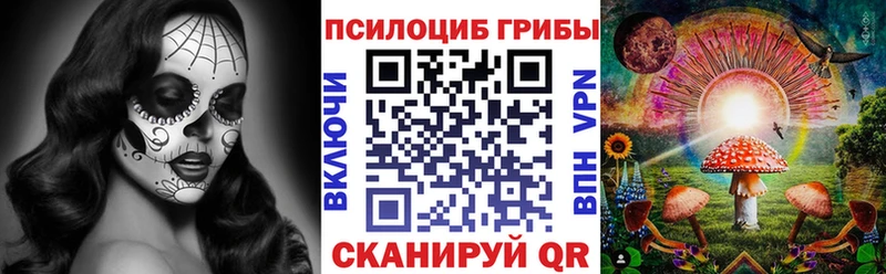 Псилоцибиновые грибы MAGIC MUSHROOMS  купить наркотик  Барыш 