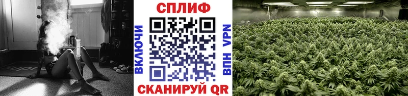 МАРИХУАНА сатива  мега зеркало  Барыш 